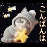 スコティッシュ猫 可愛いグレーニット 冬