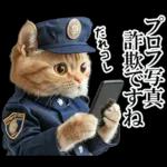 リアル猫警察官