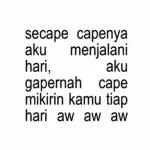 secape capenya aku menjalani hari, aku gapernah cape mikirin kamu tiap hari aw aw aw