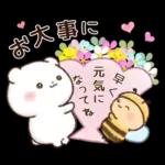 チロクマとアイビー　初夏