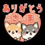 飛び出す！シバイヌの日常敬語スタンプ