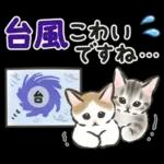 夏の毎日☆猫たちのスタンプ２