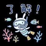 毎日使える夏☆ほぼ白うさぎ