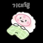 퐁실퐁실 퐁슈랑 벚꽃 보러 갈래?