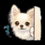 ブラン&プティ第2弾♡