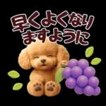 【秋冬】ずっと使える❤️日常会話 トイプー