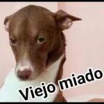 jajaja 