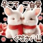 Healing Rabbit Winter