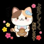 こころ晴れる毎日です