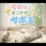 飛び出す♡やる気ないにゃんこ