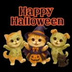 ハロウィンにゃん！