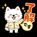 そっと寄りそうサモエド