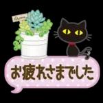 大人女子の日常