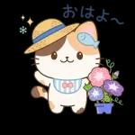 こころ晴れる毎日です