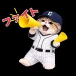 野球をする猫