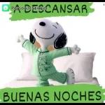 Feliz día maestra