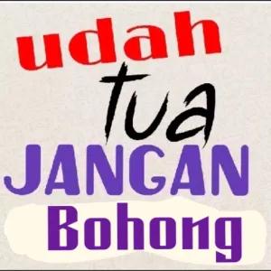 udah tua JANGAN Bohong - getsticker.com