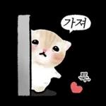 작아요 고먕이