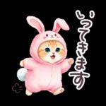 秋冬 毎日使える コスにゃんず 日常