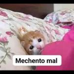 en el nombre de yesus