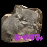 ふらんねるスタンプ【日常】