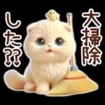 冬の猫のスコティッシュ【よく使う言葉】