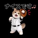 野球をする猫