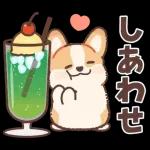 コーギーにとっての雨季と初夏