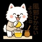 サモエドとぬくぬく日和