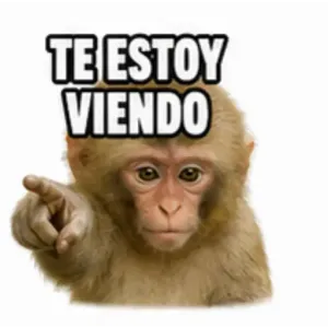 TE ESTOY VIENDO - getsticker.com