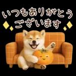 大人かわいい秋の癒し柴犬