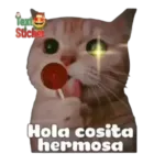Pegatinas divertidas