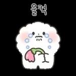 퐁실퐁실 퐁슈랑 벚꽃 보러 갈래?