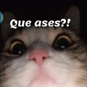 Que ases?! - getsticker.com