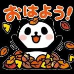 秋＊動くぶなんなパンダ
