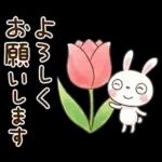 やさしい春の毎日♡ふんわかウサギ