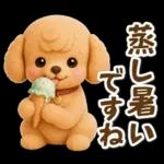 トイプードルの夏と梅雨のお天気カフェ