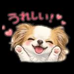 ブラン&プティ第2弾♡