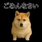 ガンギマリの柴犬＠エロ・日常会話