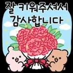 가정의 달 다정다감 메시지