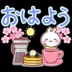 うさぎさん やさしい春の気づかい