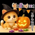 ずっと使える秋冬♡ほっこり猫たちの日常