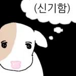 호기심 많은 소