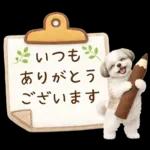気持ち伝わる癒やしシーズー