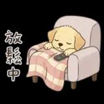 小拉拉 實用日常