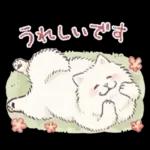 Samoyed-san in Spring