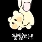 말랑한 젤리 꼬미 2500원