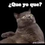 en visto ..?