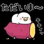 ちびトリ★冬の日常