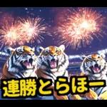 大阪神戸の野球好き虎ファン向け5とらほー